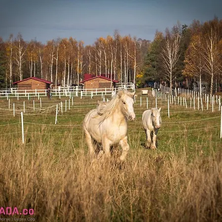Kaskada Glamping Łódź